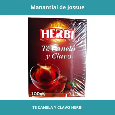 TE CANELA Y CLAVO HERBI X100UN