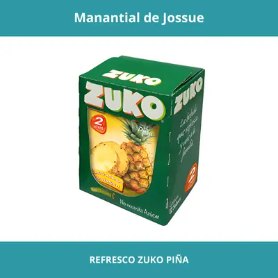 REFRESCO ZUKO PIÑA X12