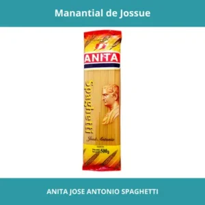 ANITA JOSE ANTONIO SPAGHETTI X5KG