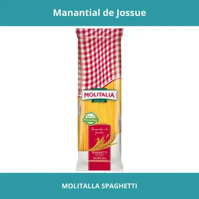MOLITALLA SPAGHETTI 235KG