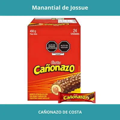 CAÑONAZO DE COSTA X24UN 456G