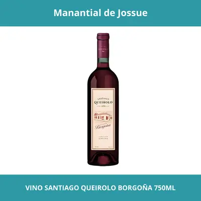 VINO SANTIAGO QUEIROLO BORGOÑA 750ML