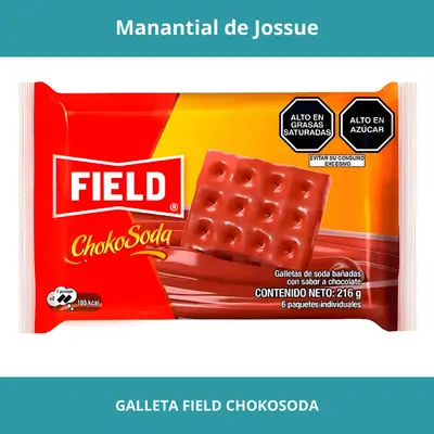 GALLETA FIELD CHOKOSODA 216G