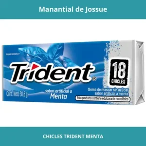CHICLES TRIDENT MENTA X18UN