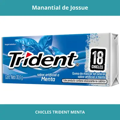 CHICLES TRIDENT MENTA X18UN