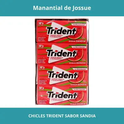 CHICLES TRIDENT SABOR SANDIA X18UN