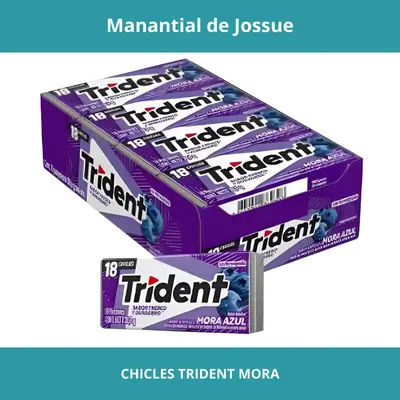 CHICLES TRIDENT MORA X18UN
