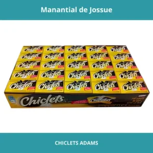 CHICLETS ADAMS X100UN