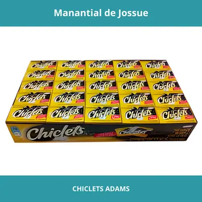 CHICLETS ADAMS X100UN