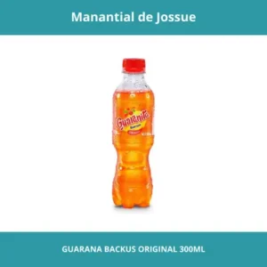 GUARANA BACKUS ORIGINAL NETO 300ML