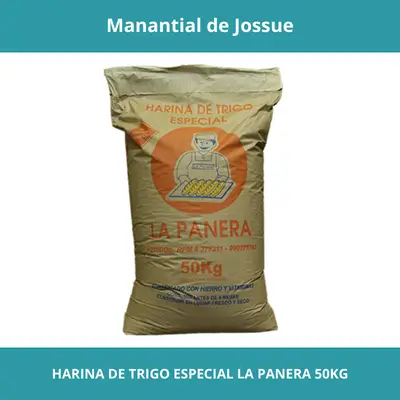 HARINA DE TRIGO ESPECIAL LA PANERA X50KG X1KG