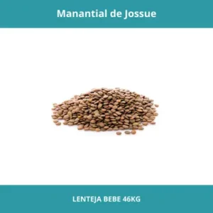 LENTEJA BB X46KG