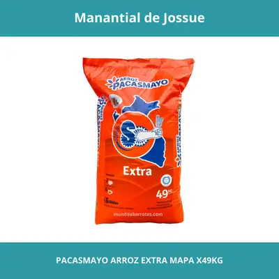 PACASMAYO ARROZ EXTRA MAPA X49KG