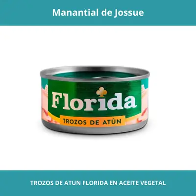 TROZOS DE ATUN FLORIDA EN ACEITE VEGETAL
