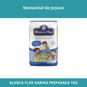 BLANCA FLOR HARINA PREPARADA 1KG X6