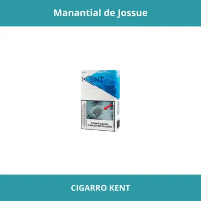 CIGARRO KENT X20