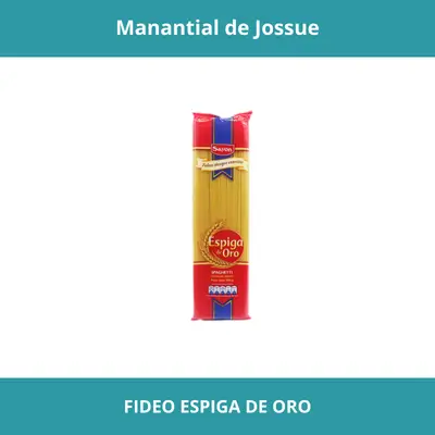 FIDEO ESPIGA DE ORO ESPAGHETTI X10KG