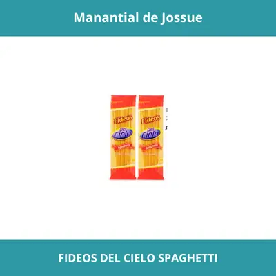 FIDEOS DEL CIELO SPAGHETTI PESO NETO 10KG