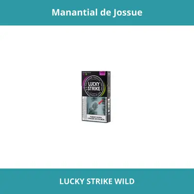 LUCKY STRIKE WILD FILTRO CHICO X20