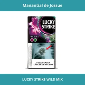 LUCKY STRIKE WILD MIX X20 FILTRO GRANDE