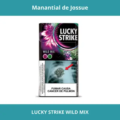 LUCKY STRIKE WILD MIX X20 FILTRO GRANDE