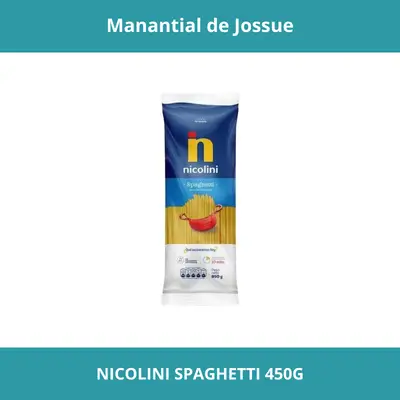 NICOLINI SPAGHETTI 450G X20