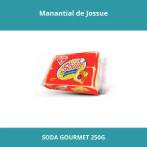SODA GOURMET 250G x12