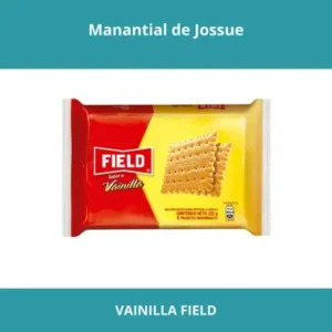 VAINILLA FIELD