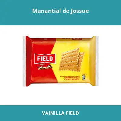 VAINILLA FIELD